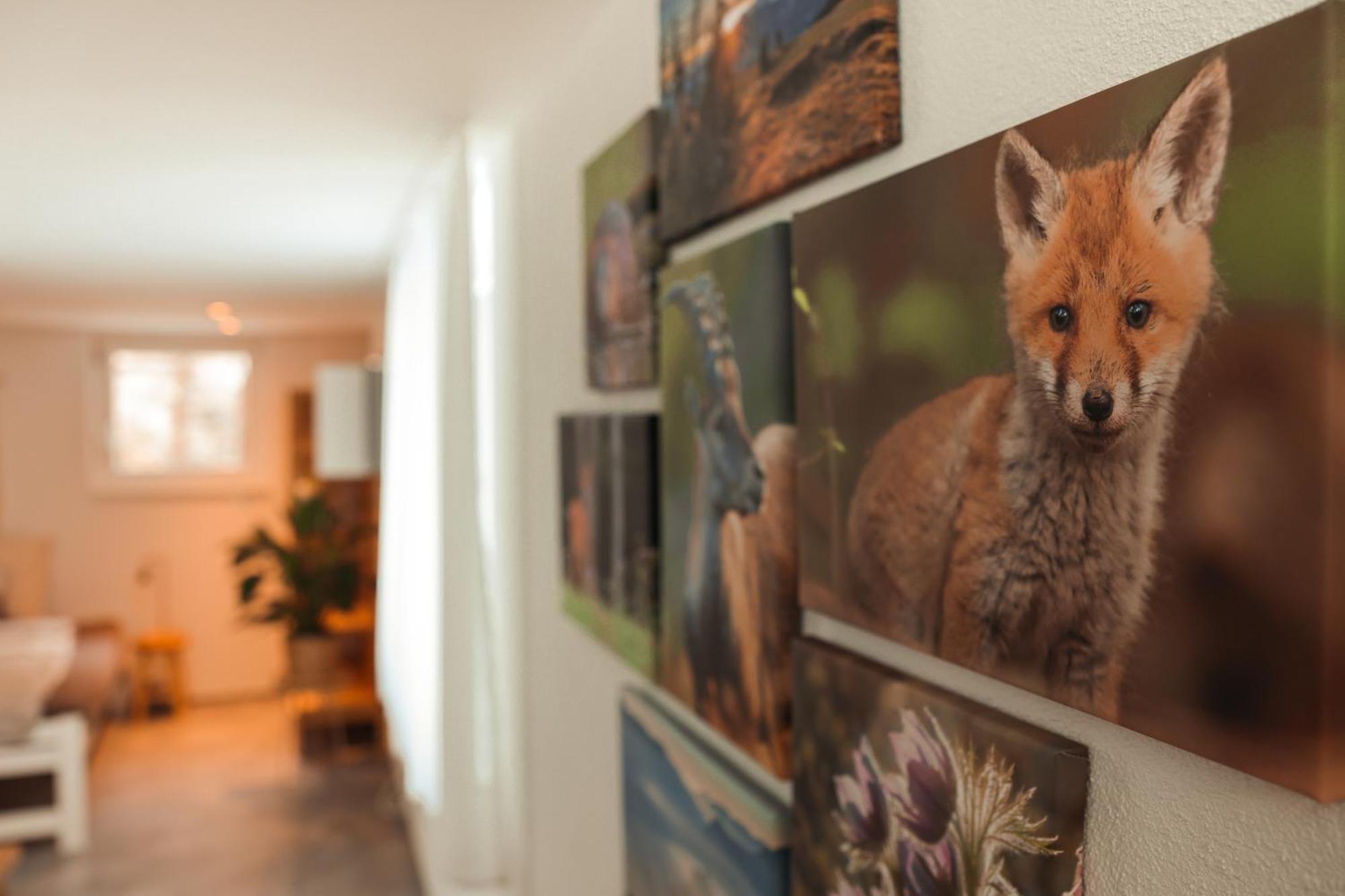 Haus Meierhuesli Malans Extérieur photo